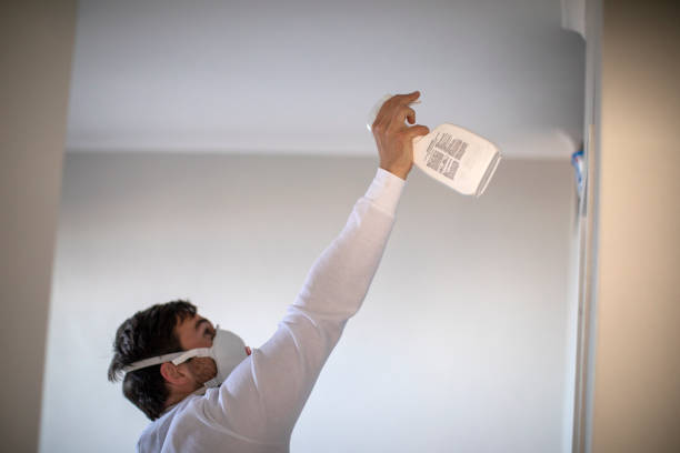 Professional Mold Remediation in Perrysburg, OH